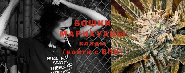 ешки Аркадак