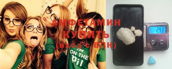 ешки Аркадак