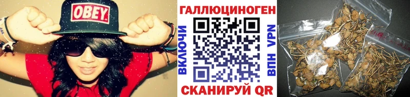 сколько стоит  Городище  ссылка на мегу онион  Галлюциногенные грибы мухоморы 