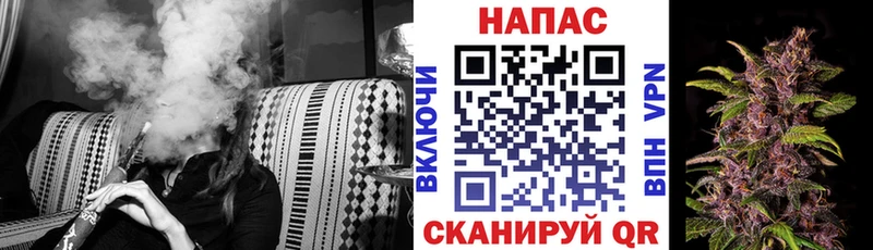 наркотики  Городище  Шишки марихуана OG Kush 